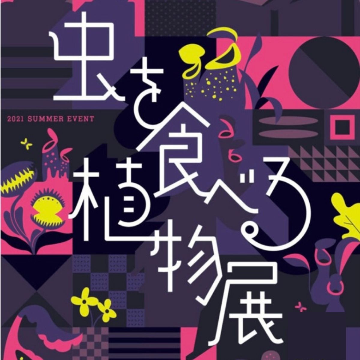 大阪の植物園 咲くやこの花館 イベント 虫を食べる植物展21 ネペンテスのアクアテラリウム