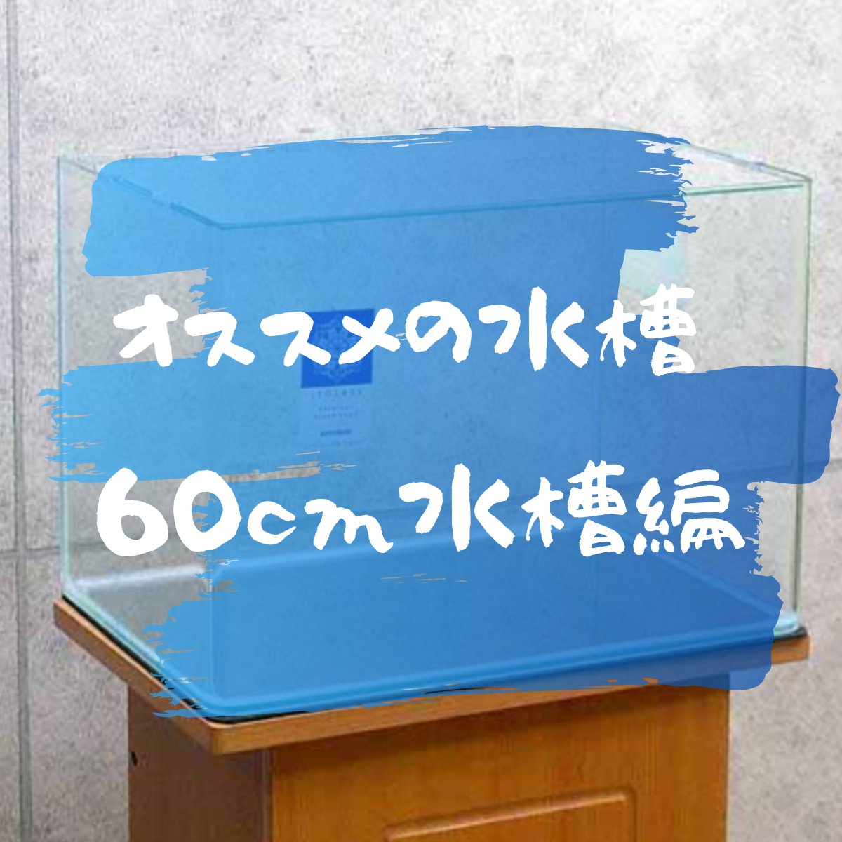 アクアテラリウムにオススメの水槽 60cm水槽編 ネペ吉のブログ