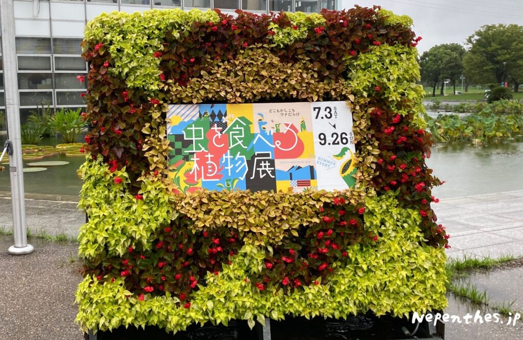 大阪の植物園 咲くやこの花館 イベント虫を食べる植物展2021 
