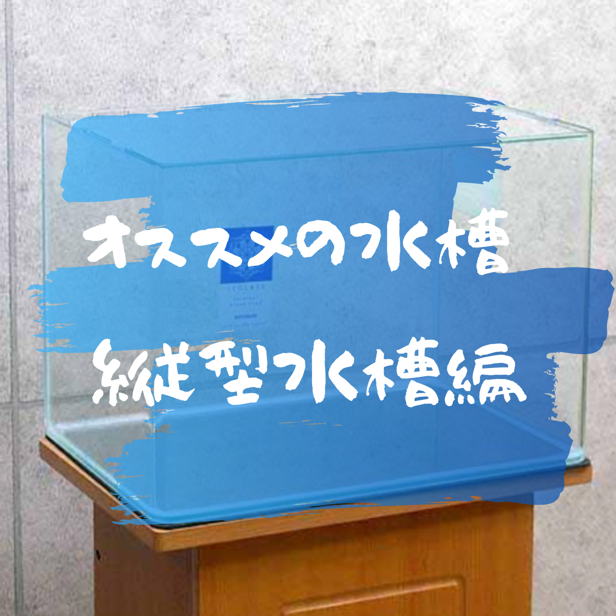 アクアテラリウムにオススメの水槽⑤縦長水槽編 - ネペ吉のブログ
