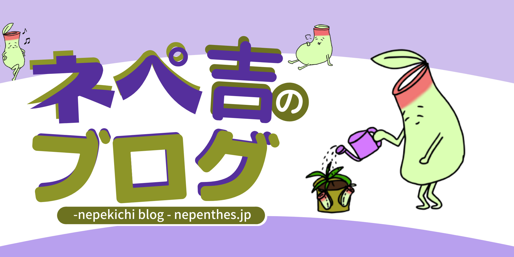 食虫植物の種類 育て方からオススメの品種などを紹介していきます ネペ吉のブログ 食虫植物の種類 育て方からオススメの品種などを紹介していきます ネペ吉のブログ